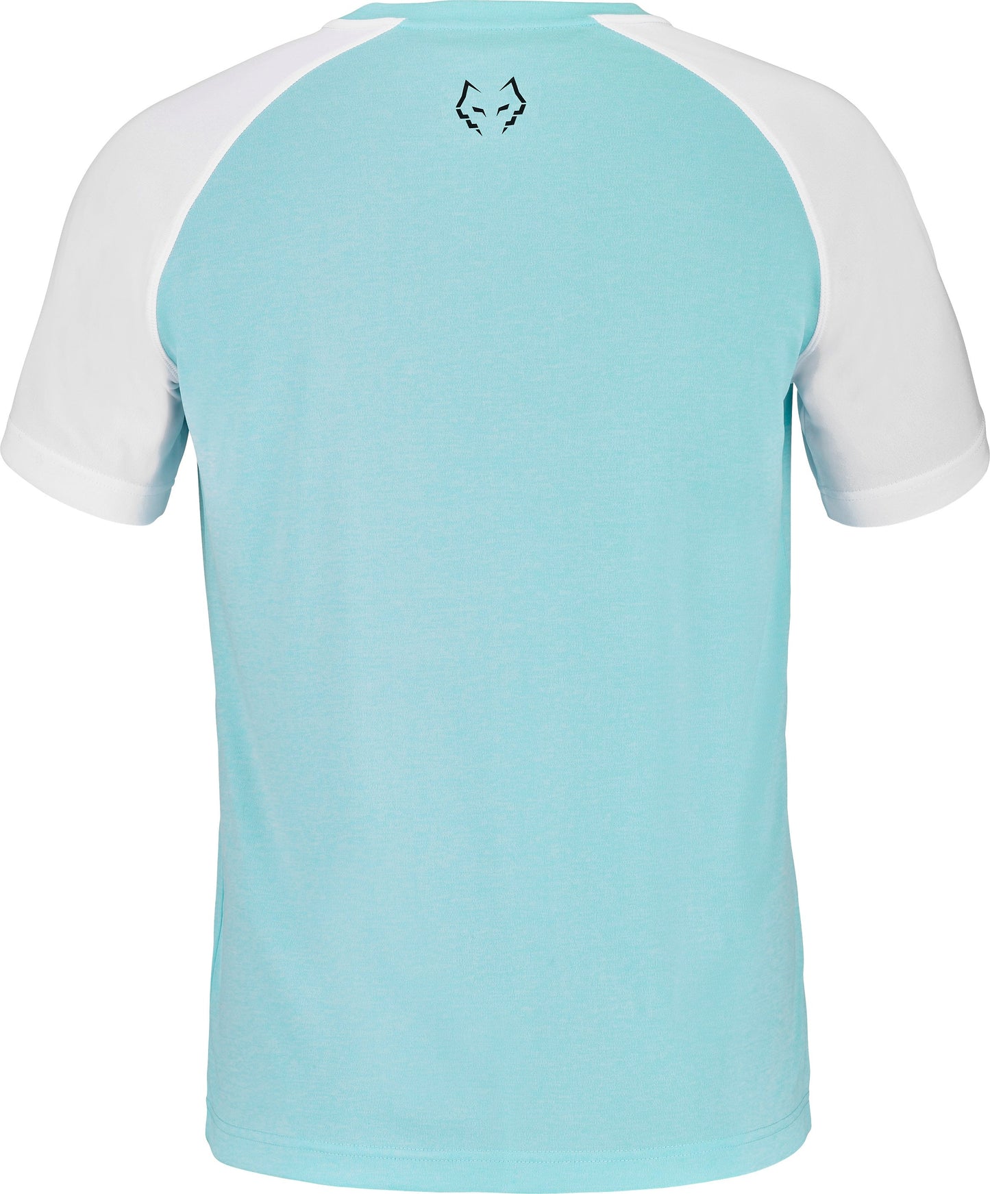 Babolat Crew Neck T-shirt Juan Lebron (Engelenblauw/Wit)