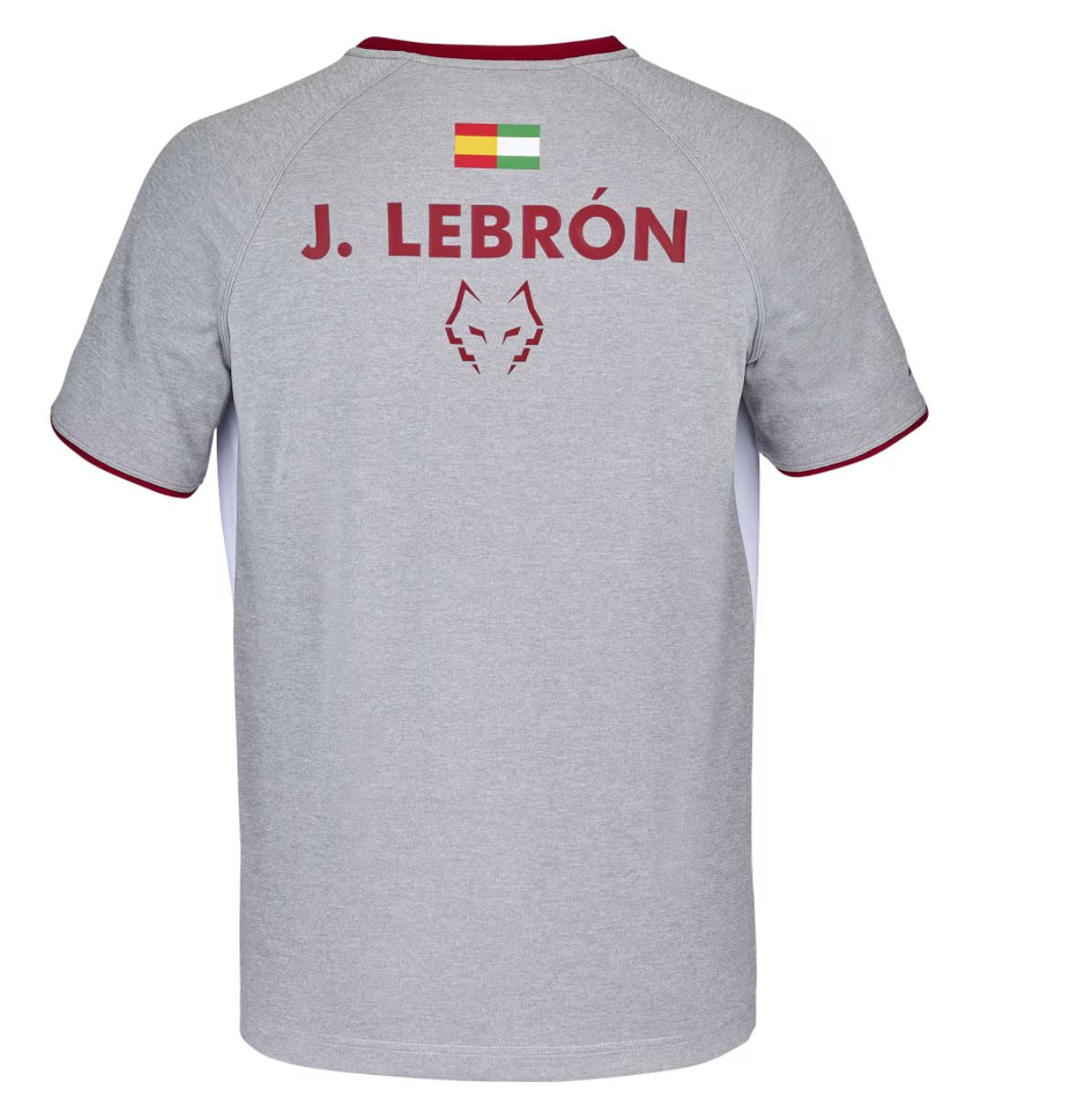 Babolat Crew Neck T-shirt Juan Lebron (White/White)